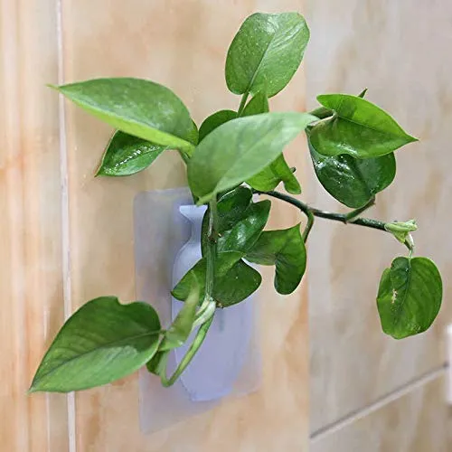 Airovia Wall Hanging Silicone Flower Pot Sticker Plant Rack for Decoration Home Kitchen Office Bathroom